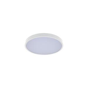 Rabalux Rabalux 71429 - LED Koupelnové stropní svítidlo ALENZO LED/36W/230V IP44 bílá