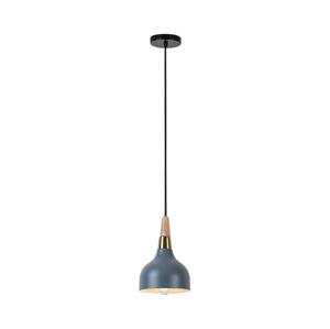 Rabalux Rabalux 72135 - Lustr na lanku DRUSILLA 1xE27/40W/230V