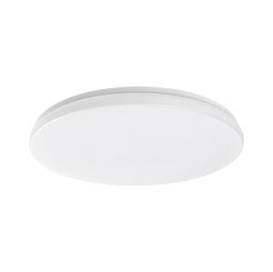 Rabalux Rabalux 77135-LED Koup. stropní svítidlo LOWAR LED/36W/230V IP44 3000/4000/6000K