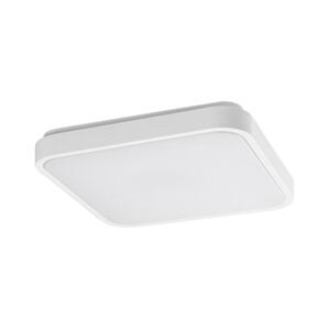 Rabalux Rabalux 77138 - LED Koup. strop. svítidlo se senzorem LOWAR 18W/230V 4000K IP44