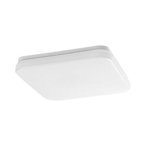 Rabalux Rabalux 77181 - LED Koup. strop. svítidlo LOWAR 18W/230V 3000/4000/6000K IP44