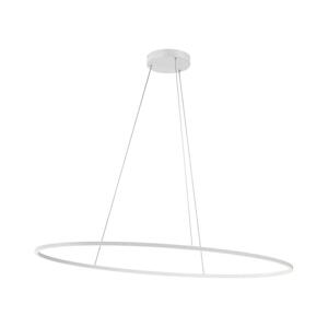 Redo 01-3340 - LED Stmívatelný lustr na lanku LEO LED/67W/230V bílá 01-3340