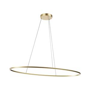 Redo 01-3341 - LED Stmívatelný lustr na lanku LEO LED/67W/230V bronzová 01-3341