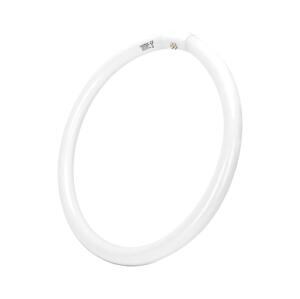 B.V. Zářivková trubice T9 G24q-1/40W/230V 6500K -  B10104JVH