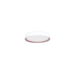LED Stmívatelné stropní svítidlo s hlasovým ovládáním OPAL LED/48W/230V + DO
