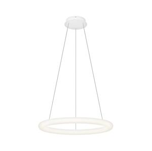 Top Light -LED Stmívatelný lustr na lanku RINGO LED/40W/230V 3000-6500K bílá+DO Ringo 60Z RC