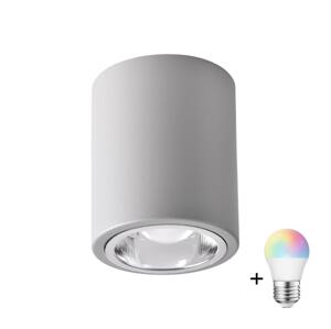 LED RGBW Stmívatelné bodové svítidlo JUPITER 1xE27/6,5W/230V pr. 9,8 cm šedá