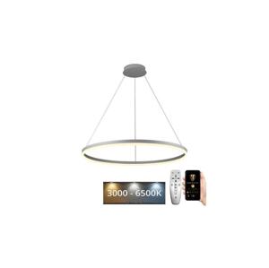 Brilagi - LED Stmívatelný lustr na lanku CIRCLE LED/55W/230V 3000-6500K + DO BG-J4309/W