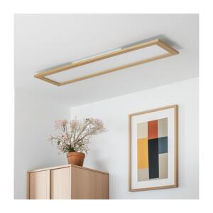 Brilagi Brilagi - LED Stmívatelné svítidlo SLIMFRAME WOOD LED/58W/230V 124x34 cm + DO