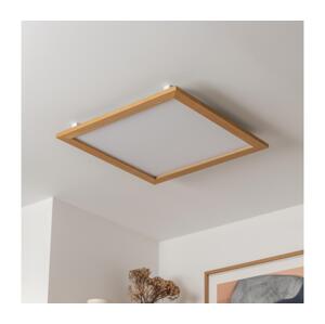 Brilagi Brilagi - LED Stmívatelné svítidlo SLIMFRAME WOOD LED/58W/230V 64x64 cm + DO