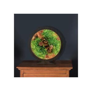 Li-Go 23654 - LED Stmívatelná stolní dekorace LED/12W/230V 20x22 cm mech 23654