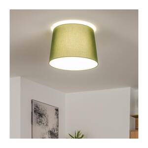 Brilagi - LED Přisazený lustr CERIA 1xE27/40W/230V pr. 30 cm zelená EG300175+EG781039