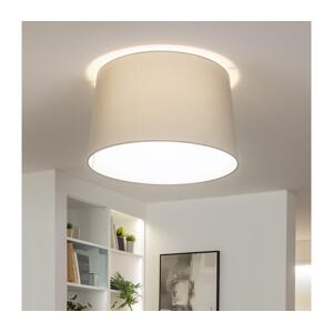 Brilagi - LED Přisazený lustr CERIA 1xE27/40W/230V pr. 45 cm šedá EG300175+EG781042