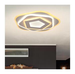 Brilagi Brilagi - LED Stropní svítidlo MODERN MINI LED/53W/230V 3000/4000/6000K + DO