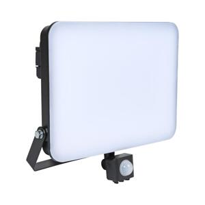 Brilagi Brilagi - LED Reflektor se senzorem ELARA PRO LED/100W/230V IP65