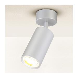 Brilagi Brilagi - Koupelnové bodové svítidlo SELE 1xGU10/30W/230V IP44 stříbrná