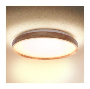 Brilagi Brilagi - LED Stropní svítidlo ALSON LED/24W/230V dub