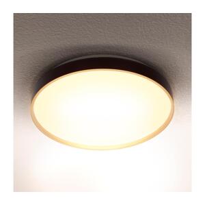 Brilagi Brilagi - LED Stropní svítidlo CALA LED/24W/230V