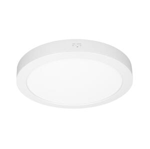 WD244-W - LED Panel 2v1 24W/230V 3000/4000/6000K pr. 30 cm IP54 bílá