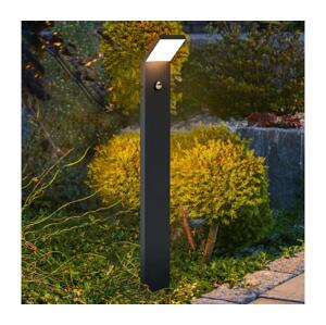 Brilagi Brilagi - LED Venkovní lampa se senzorem RIANO LED/8W/230V antracit