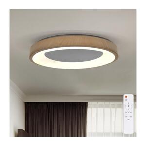 Brilagi - LED Stmívatel. svítidlo DORIA LED/60W/230V 3000-6500K pr. 60 cm + DO WO800-OEM10-60