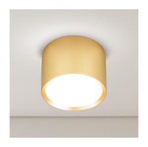 Brilagi - Bodové svítidlo SMOOTH 1xGX53/15W/230V zlatá WO-GX-01-GOLD-OEM