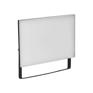LED Reflektor TAMBO LED/50W/230V 4000K IP65