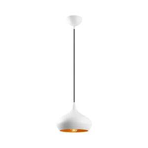 Lustr na lanku DODO 1xE27/40W/230V bílá