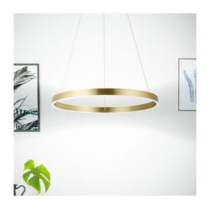 Eglo Eglo 33484 - LED Lustr na lanku ALCAZABA 2xLED/18W/230V 3000K pr. 55 cm zlatá