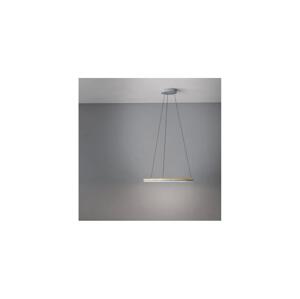 Eglo Eglo 39896 - LED Stmívatelný lustr na lanku CADINARO LED/36W/230V 3000K