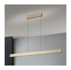 Orion Orion HL 6-1716/120 - LED Stmívatelný lustr na lanku TARA LED/44W/230V zlatá