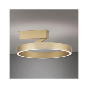 Orion - LED Stropní svítidlo KOLK LED/40W/230V 2700/3000/4000K pr. 40 cm zlatá DL 7-703/40 gold-matt