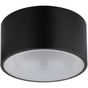 Globo Globo 56964S - LED Stropní svítidlo RAYMOND LED/12W/230V 3000K pr. 15 cm černá