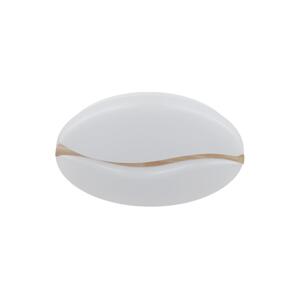 Globo Globo 41790-18 - LED Stropní svítidlo LETICIA LED/24W/230V pr. 33 cm