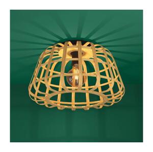 Eglo Eglo 390149 - Stropní svítidlo MONTEZUELO 1xE27/40W/230V hnědá