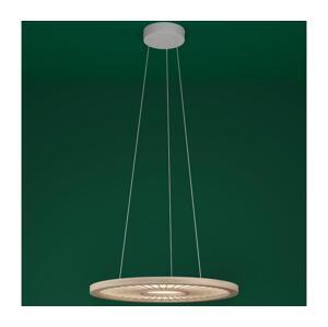 Eglo Eglo 390297 - LED Stmívatelný lustr na lanku DEHESA LED/36W/230V 4000K
