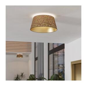 Eglo Eglo 390291 - Stropní svítidlo CASTUERA 1xE27/25W/230V zlatá/růžová